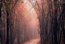 杜海勒足球俱乐部是怎样的存在？